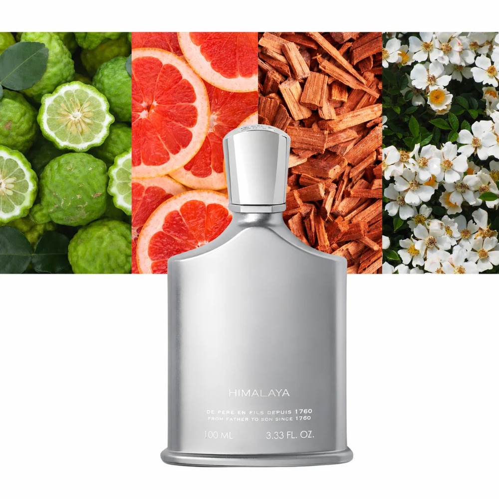 Aventus Fragrance For Men 100m - Perfume And Fragrance recension och pris